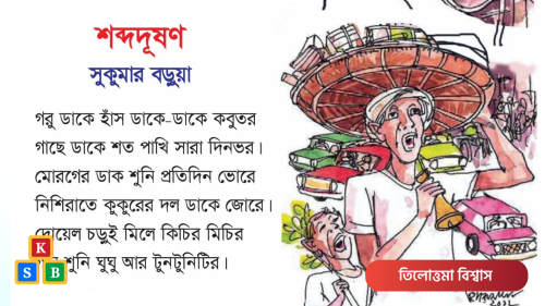 শব্দদূষণ - সুকুমার বড়ুয়া