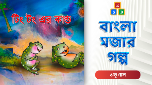 টিং টং এর কাণ্ড