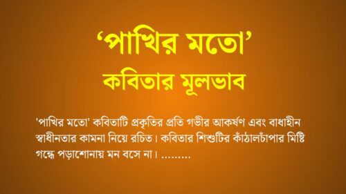 পাখির মতো কবিতার মূলভাব