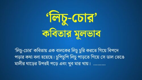 লিচু চোর কবিতার মূলভাব