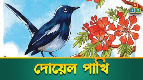 দোয়েল পাখি