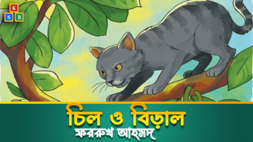 চিল ও বিড়াল
