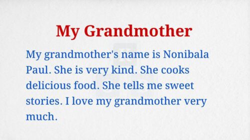 My Grandmother Paragraph