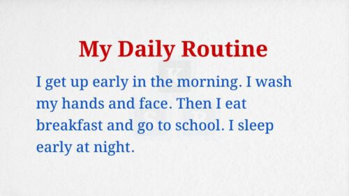 My Daily Routine Paragraph