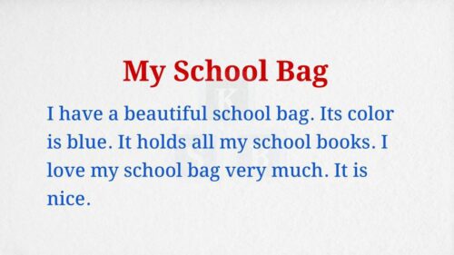 My School Bag Paragraph