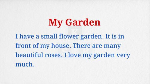 My Garden Paragraph