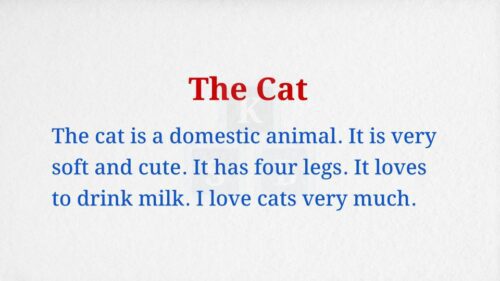 The Cat Paragraph