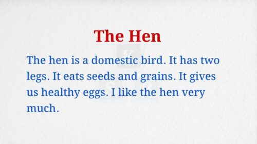 The Hen Paragraph