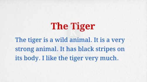 The Tiger Paragraph