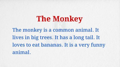 The Monkey Paragraph