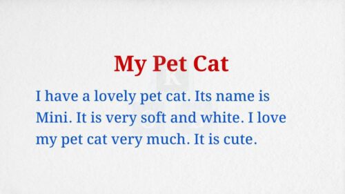 My Pet Cat Paragraph