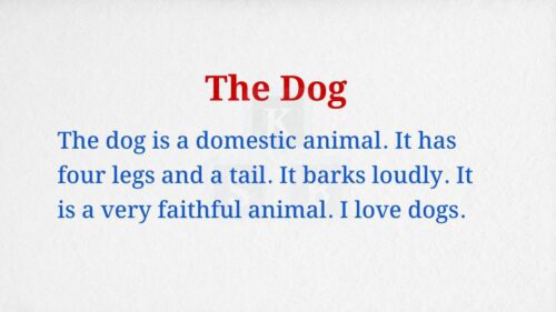 The Dog Paragraph