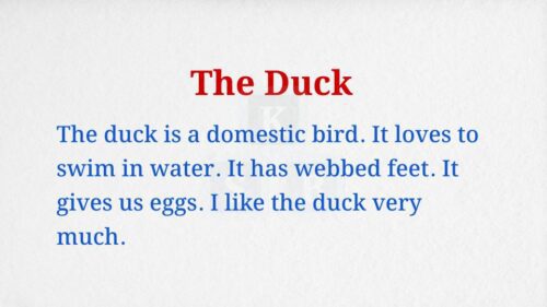 The Duck Paragraph