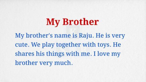My Brother Paragraph